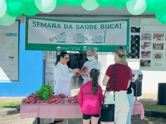 Serviços oferecidos pelo Brasil Sorridente: Lista completa