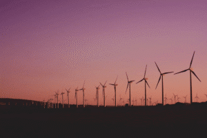 ESG na Prática: Cursos de Sustentabilidade e Relatórios Corporativos